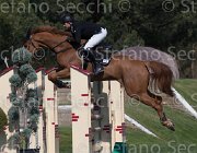 Fochi Qaro Dan TosTour2013- S5 2226 : Arezzo, Arezzo Equestrian Centre, Fochi Edoardo, Qaro Dan, Toscana Tour 2013, foto di Stefano Secchi ©